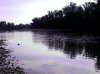 Les bords du rhone (2009)